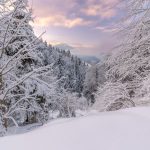 Photo Winter Wonderland Austria