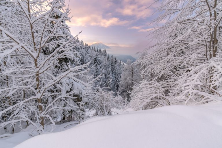 Photo Winter Wonderland Austria